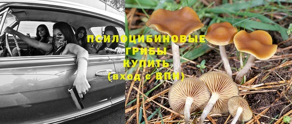 мет Алзамай