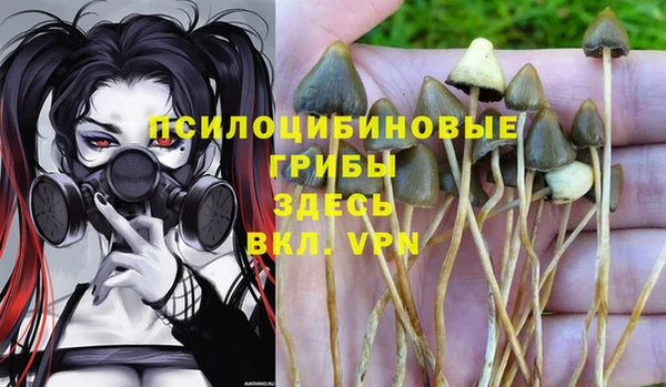 a pvp Алексин