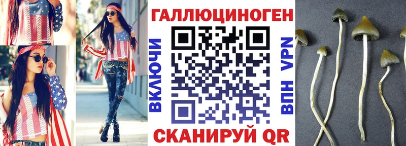 Псилоцибиновые грибы мухоморы  дарк нет наркотические препараты  Новошахтинск  даркнет сайт 