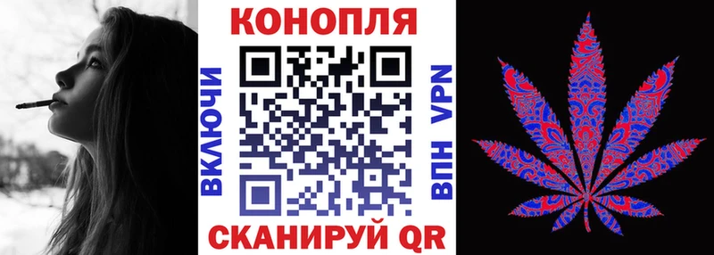 где купить   Новошахтинск  Конопля конопля 